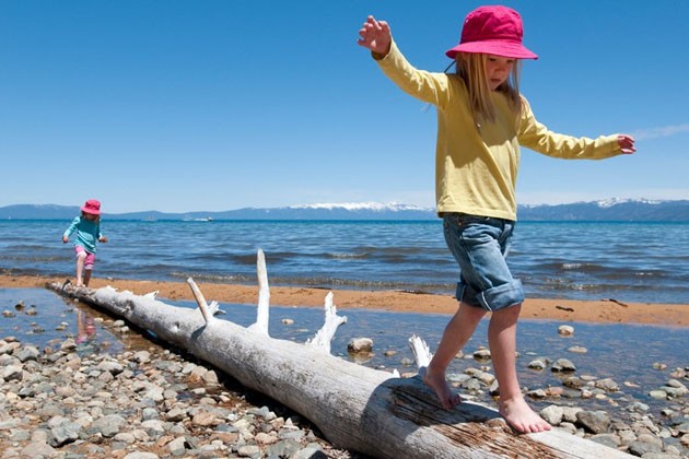Two kids walking on top of a large driftwood log on a beach.