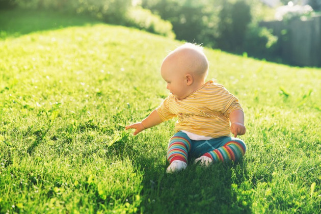 Baby sitting in sun and exploring grass.